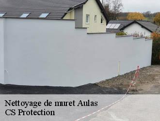 Nettoyage de muret  aulas-30120 CS Protection
