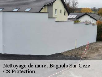 Nettoyage de muret bagnols-sur-ceze-30200 CS Protection