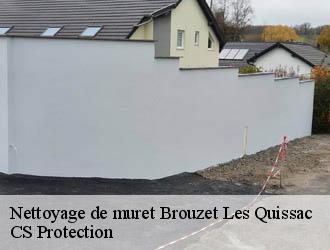 Nettoyage de muret brouzet-les-quissac-30260 CS Protection