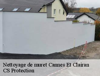 Nettoyage de muret  cannes-et-clairan-30260 CS Protection