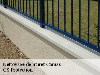 Nettoyage de muret 30260