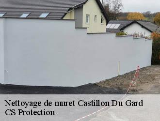 Nettoyage de muret castillon-du-gard-30210 CS Protection
