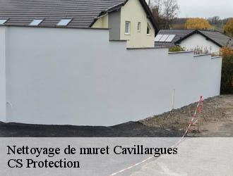 Nettoyage de muret  cavillargues-30330 CS Protection