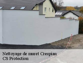 Nettoyage de muret crespian-30260 CS Protection