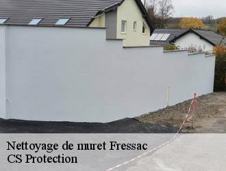 Nettoyage de muret  fressac-30170 CS Protection