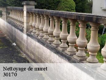 Nettoyage de muret  30170