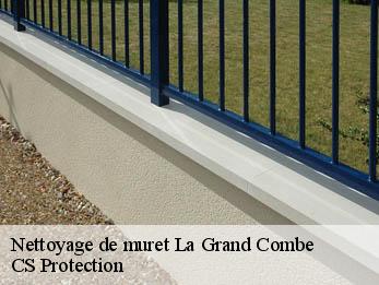 Nettoyage de muret 30110