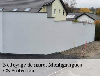Nettoyage de muret  montignargues-30190 CS Protection