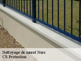 Nettoyage de muret 30360