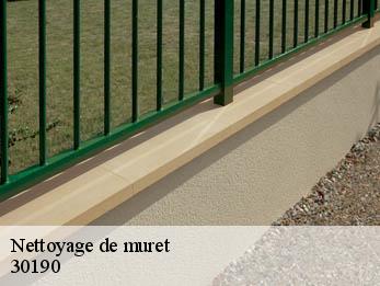 Nettoyage de muret