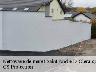 Nettoyage de muret saint-andre-d-olerargues-30330 CS Protection