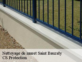 Nettoyage de muret 30730