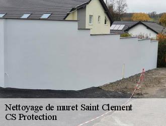 Nettoyage de muret  saint-clement-30260 CS Protection