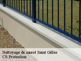 Nettoyage de muret  30800