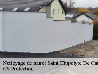 Nettoyage de muret  saint-hippolyte-de-caton-30360 CS Protection