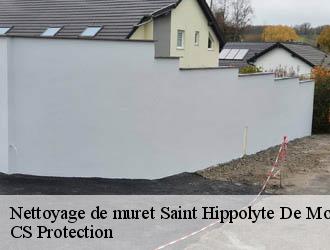 Nettoyage de muret saint-hippolyte-de-montaigu-30700 CS Protection