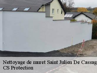 Nettoyage de muret saint-julien-de-cassagnas-30500 CS Protection