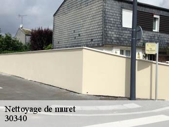 Nettoyage de muret  30340