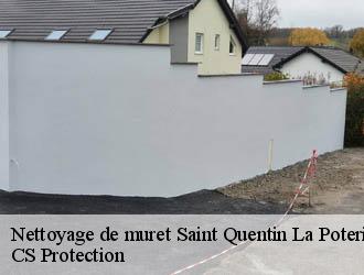 Nettoyage de muret  saint-quentin-la-poterie-30700 CS Protection