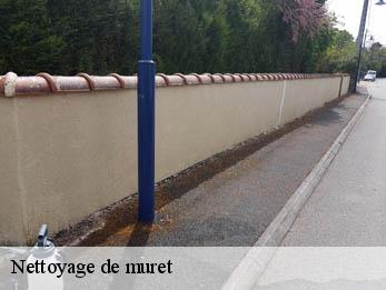 Nettoyage de muret 30340