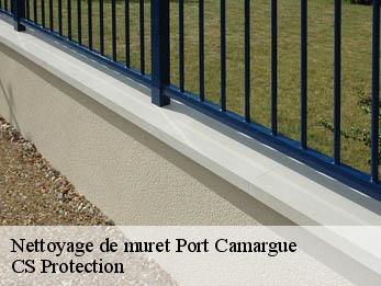 Nettoyage de muret  30240