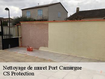 Nettoyage de muret