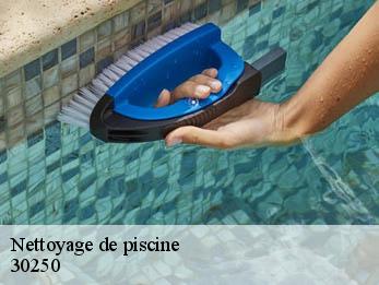 Nettoyage de piscine  30250