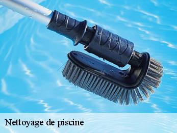 Nettoyage de piscine  30300