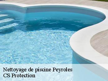 Nettoyage de piscine  30124