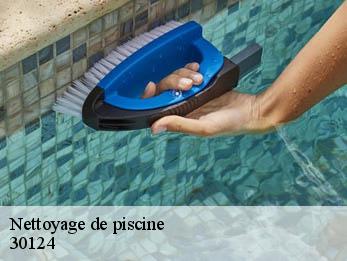 Nettoyage de piscine  30124