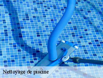 Nettoyage de piscine