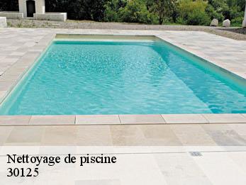 Nettoyage de piscine  30125
