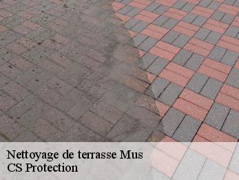 Nettoyage de terrasse  30121