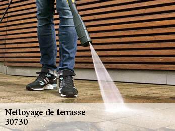 Nettoyage de terrasse  30730