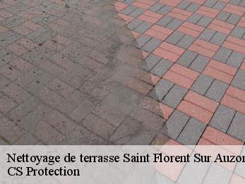 Nettoyage de terrasse  30960