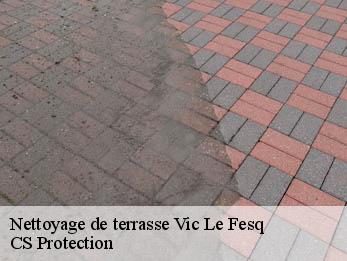 Nettoyage de terrasse  30260